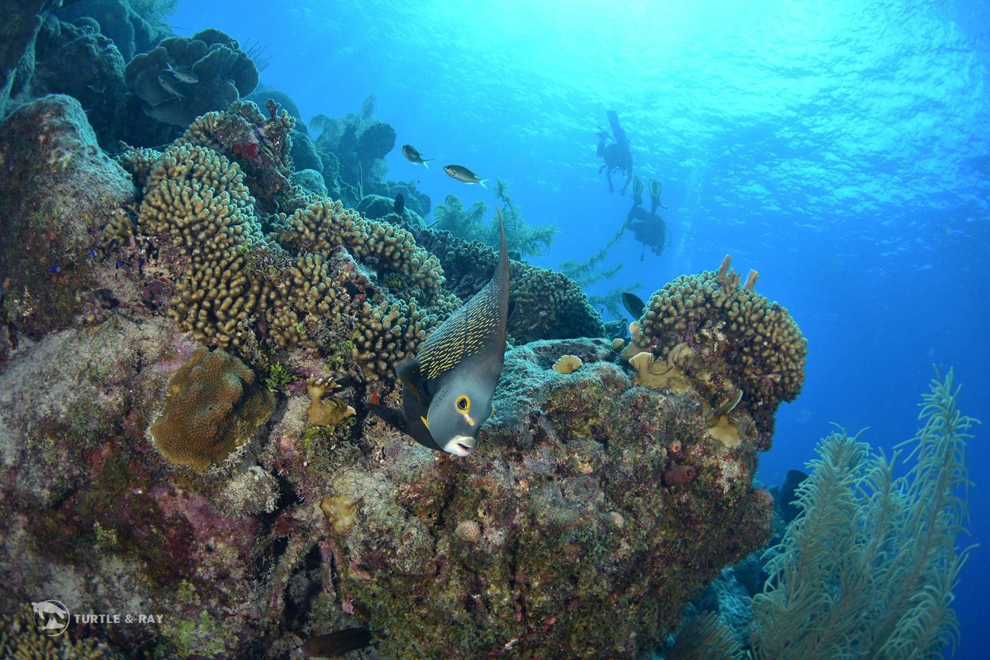 Lagun Blou Resort Curacao Exterior photo